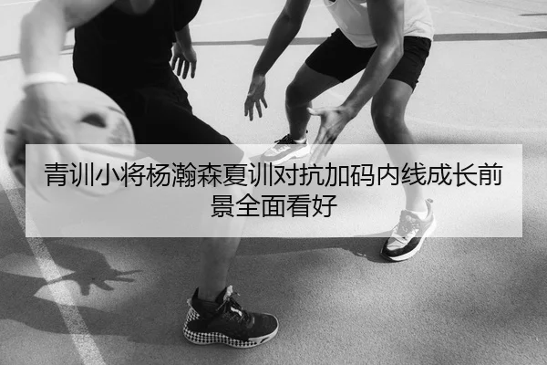 青训小将杨瀚森夏训对抗加码内线成长前景全面看好